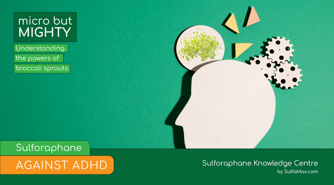 Sulforaphane against ADHD