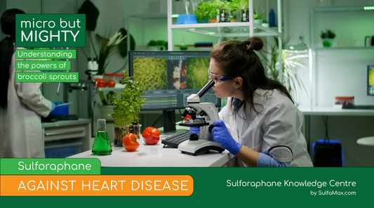 Sulforaphane against Heart Disease