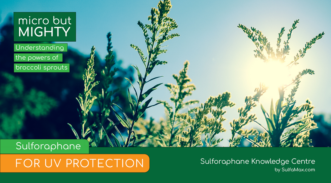 Sulforaphane for UV Protection