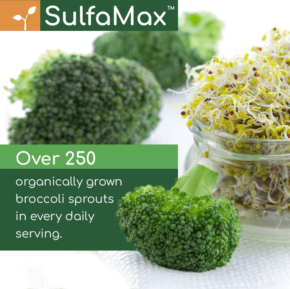 🌱 SulfaMax™  |  Monthly Subscription Twin Pack - SAVE OVER 35% on the best sulforaphane supplement
