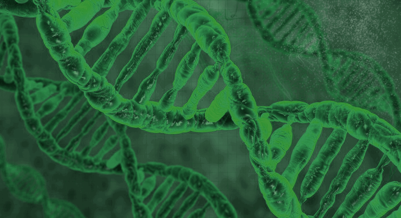 Best Sulforaphane Supplement Nrf2 Activation