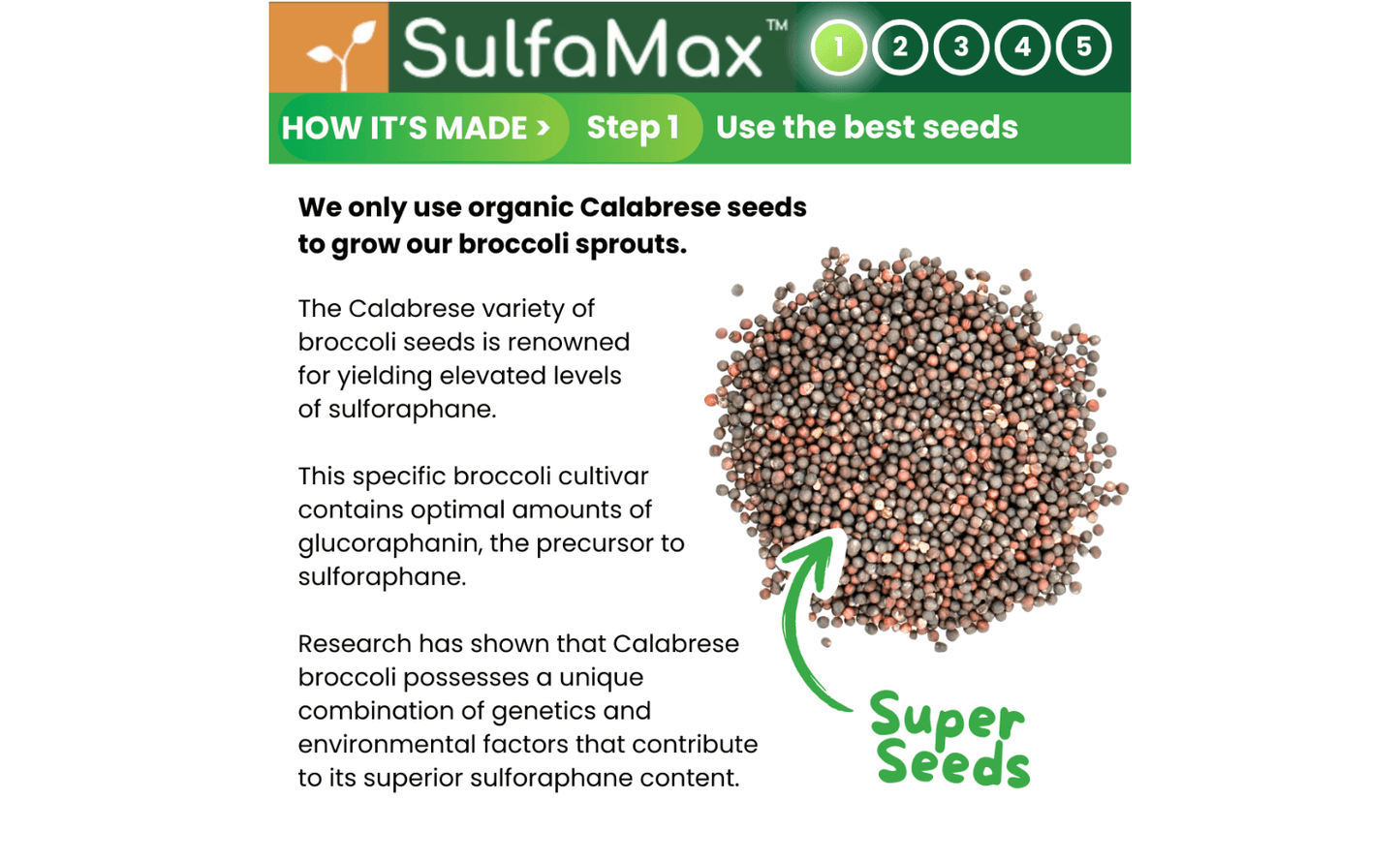 🌱 SulfaMax™  |  1 Month Supply of the best organic sulforaphane supplement
