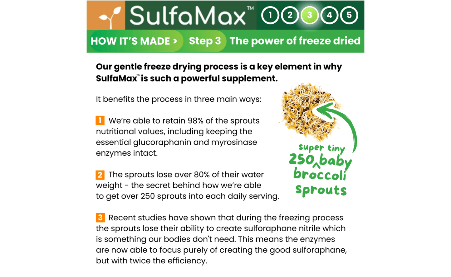 🌱 SulfaMax™  |  1 Month Supply of the best organic sulforaphane supplement