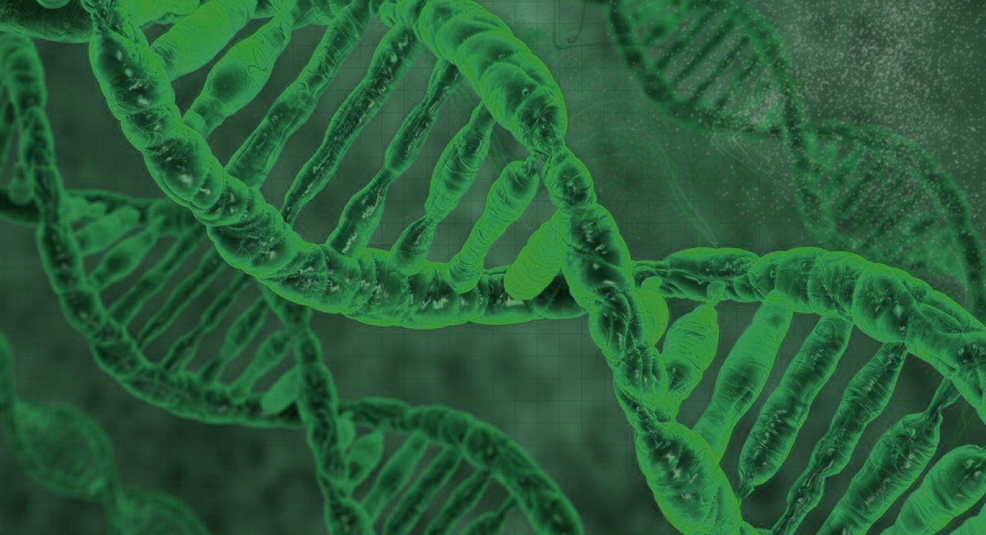 Sulforaphane supplement for activating Nrf2 pathway