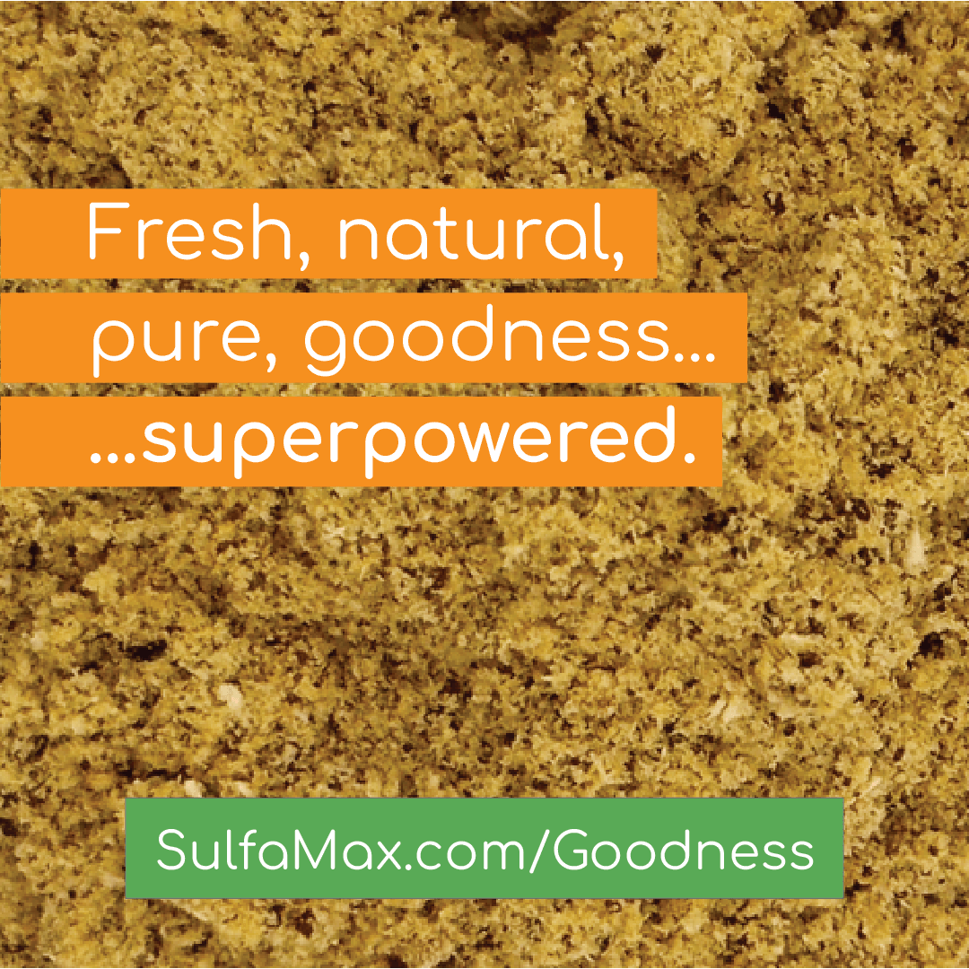 Sulforaphane Supplement - See How We Make the Best Sulforaphane Supplement