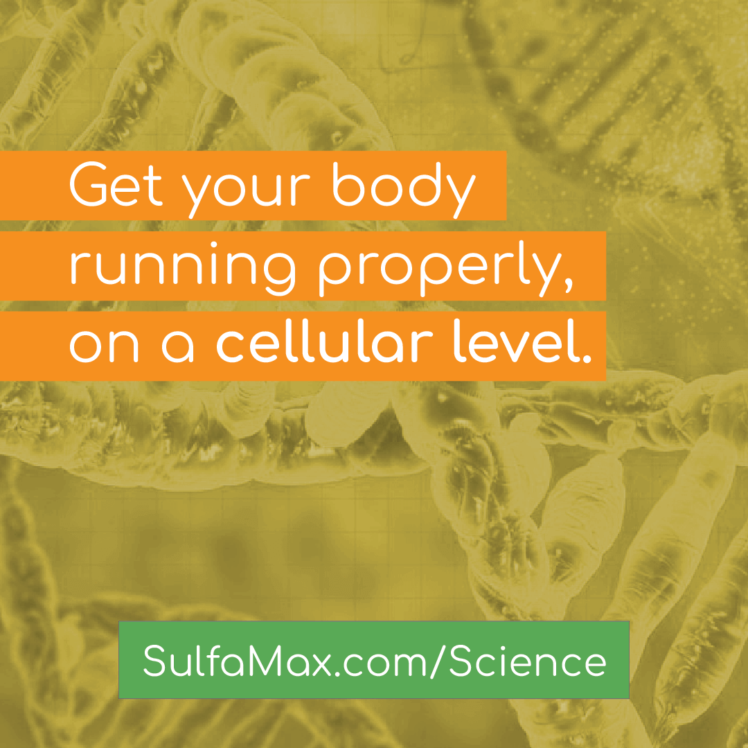 Sulforaphane Supplement - Gets your body running properly, on a cellular level.