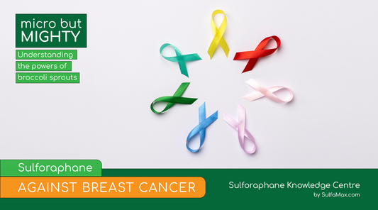 Sulforaphane Against Breast Cancer