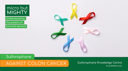 Sulforaphane Against Colon Cancer