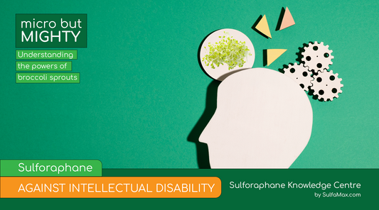 Sulforaphane against Intellectual Disability