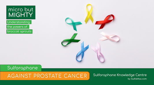 Sulforaphane Against Prostate Cancer
