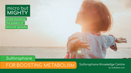 Sulforaphane for Boosting Metabolism