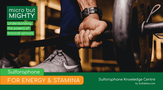 Sulforaphane for Energy and Stamina