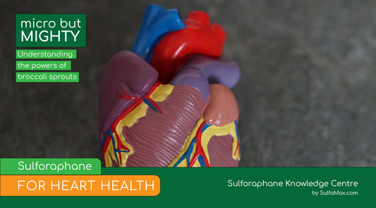 Sulforaphane for Heart Health