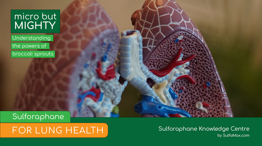 Sulforaphane for Lung Health