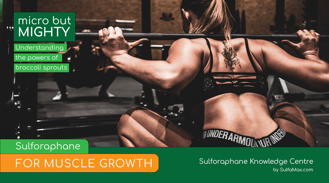 Sulforaphane for Muscle Growth