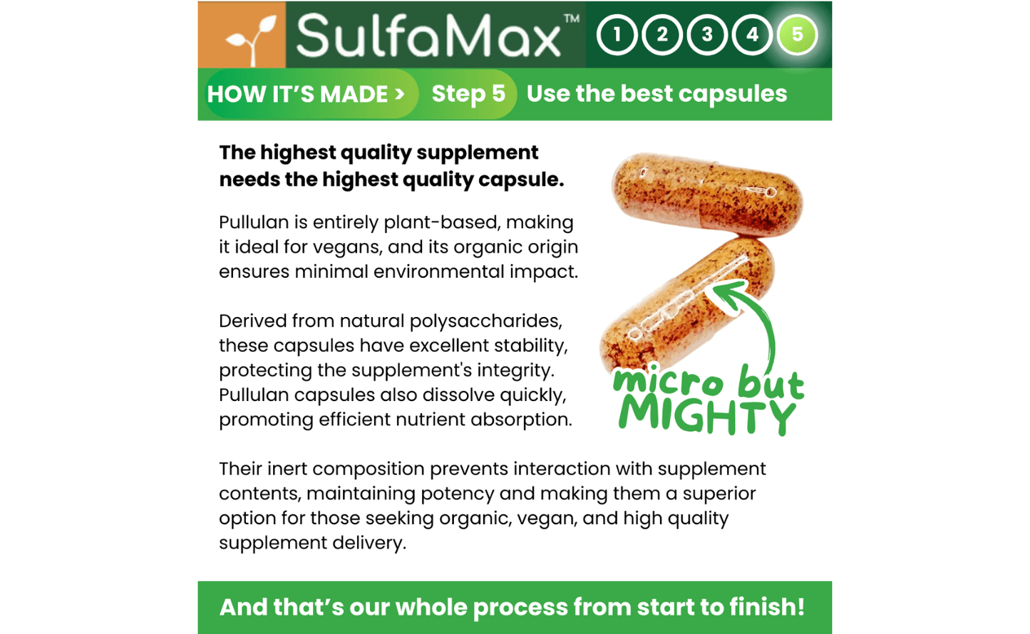 🌱 SulfaMax™  |  1 Month Supply of the best organic sulforaphane supplement